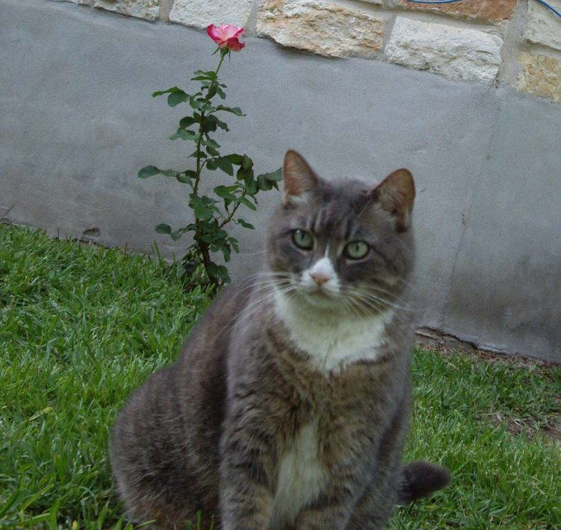 IMGP0251