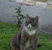 IMGP0251