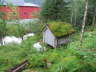 Norway 014