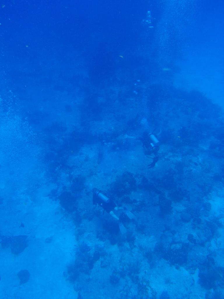 P7310048