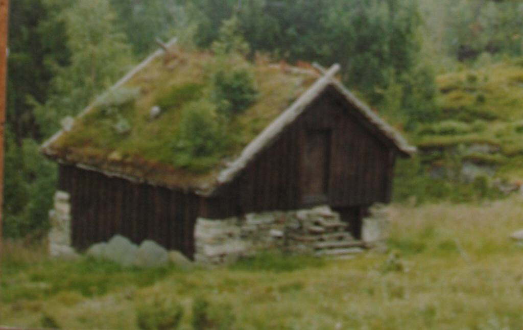 knuteabu early