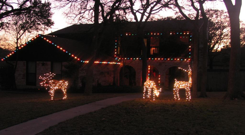 xmas 2008 lights