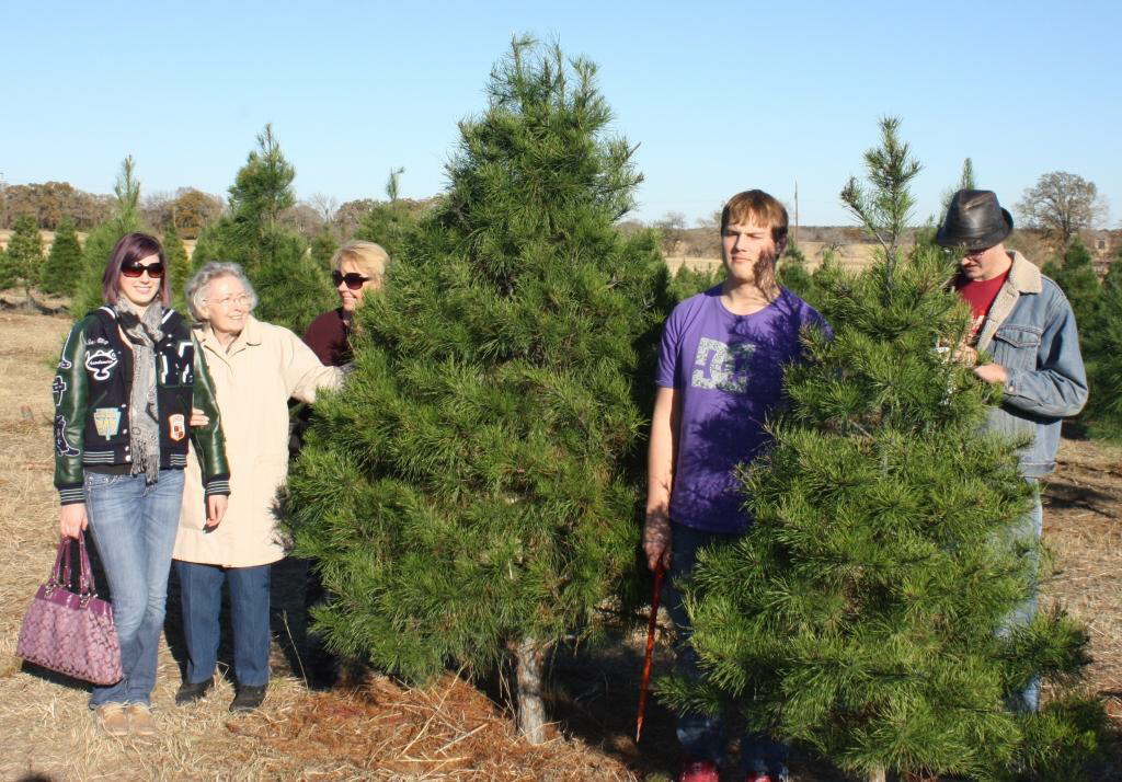 xmas tree cutting 2010