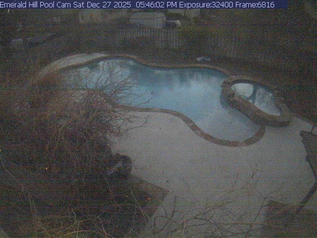 netcam_pool-1