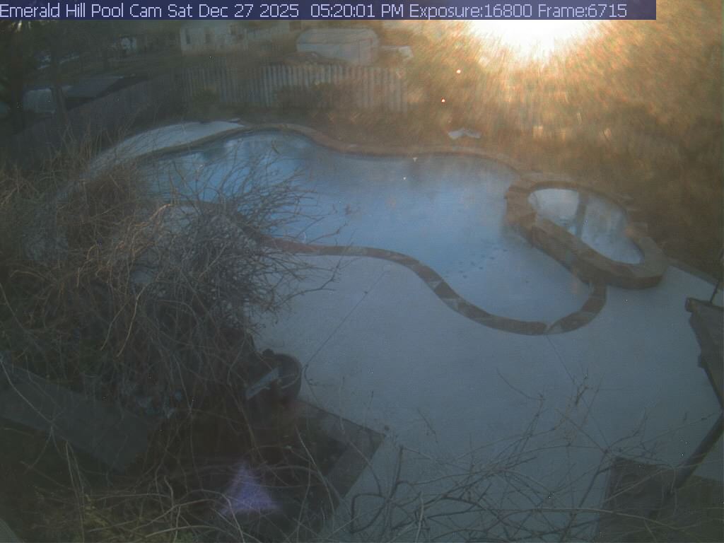 netcam_pool-13
