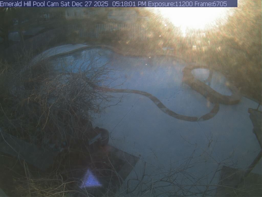 netcam_pool-14