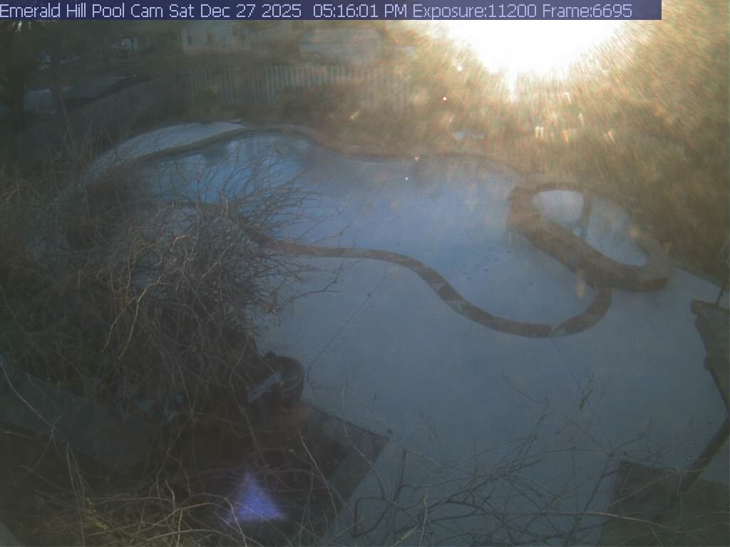 netcam_pool-15