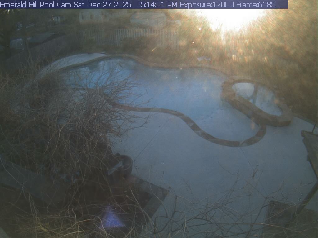 netcam_pool-16