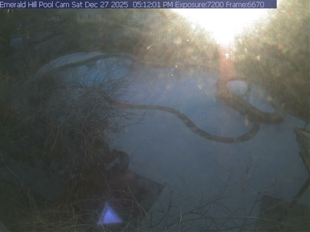 netcam_pool-17