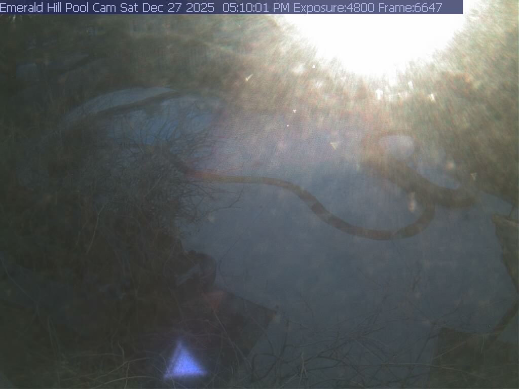 netcam_pool-18