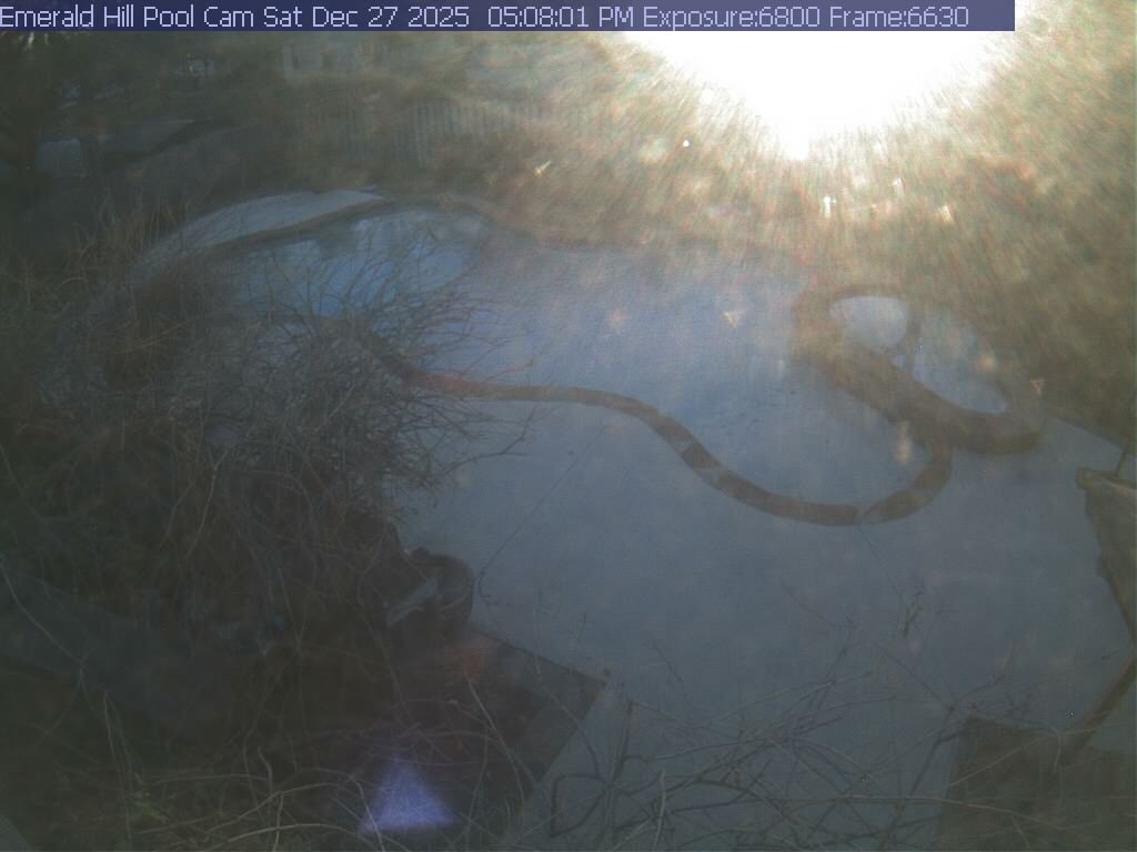 netcam_pool-19