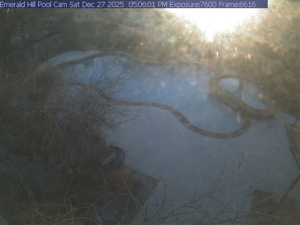 netcam_pool-20