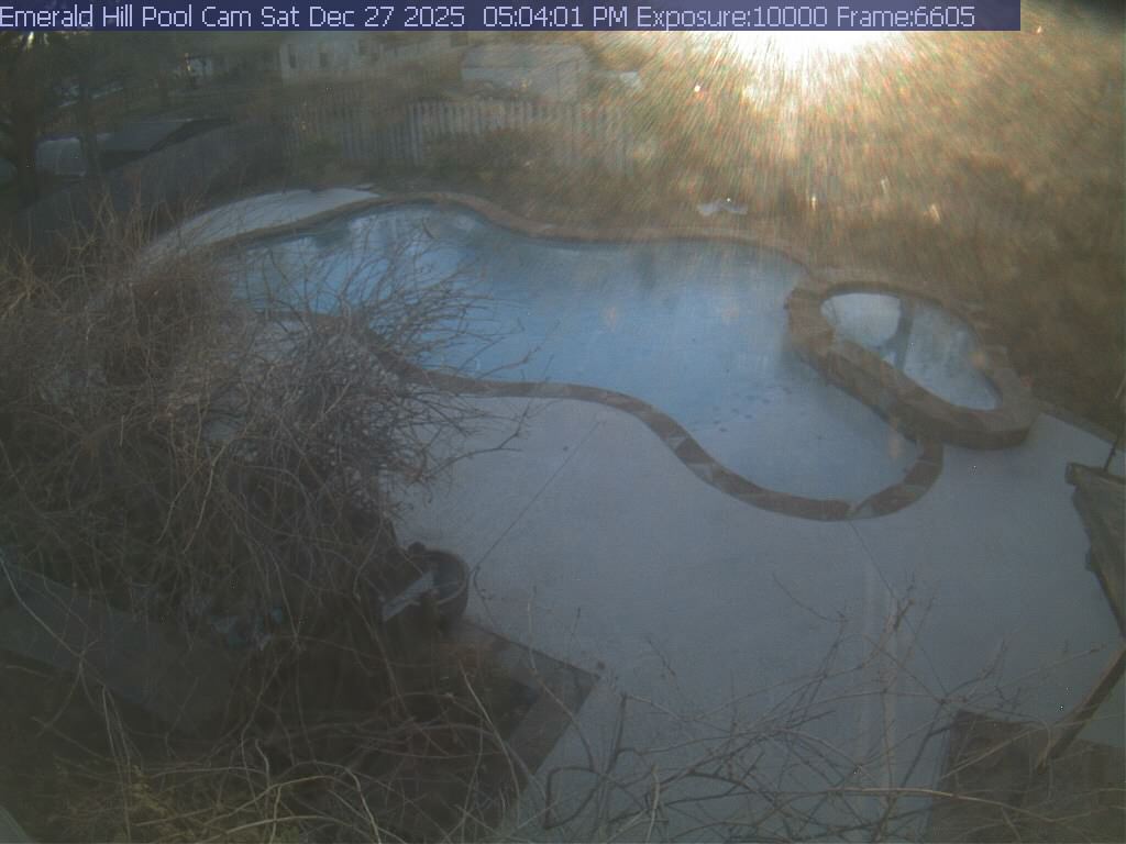 netcam_pool-21