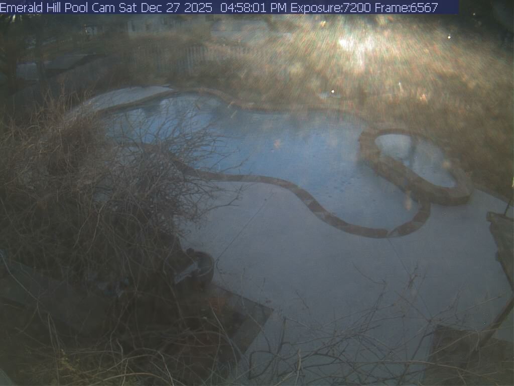 netcam_pool-24