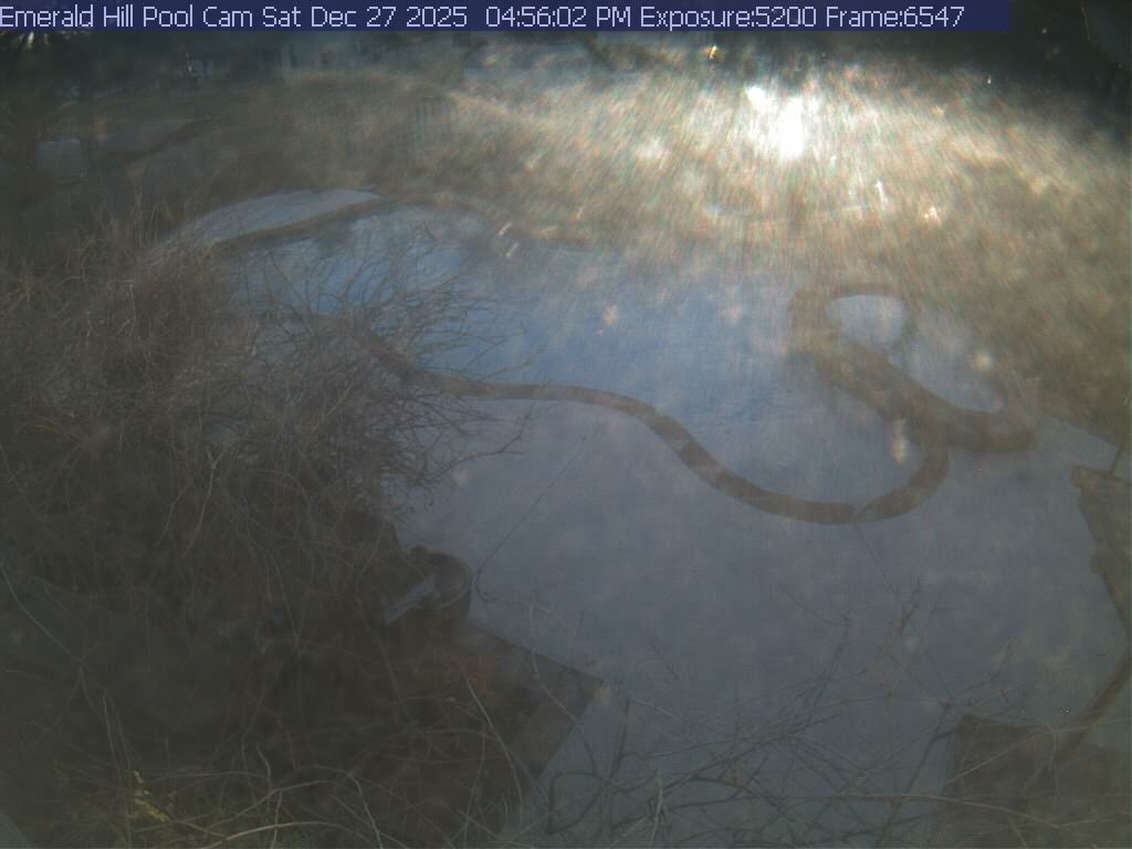 netcam_pool-25