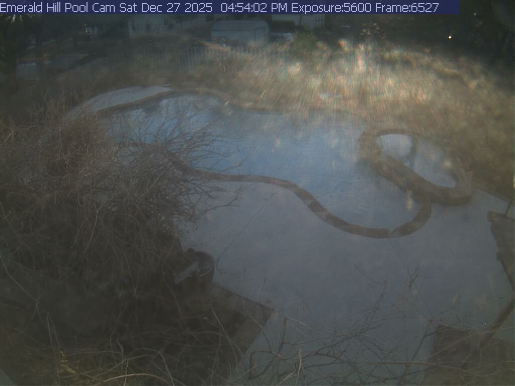 netcam_pool-26