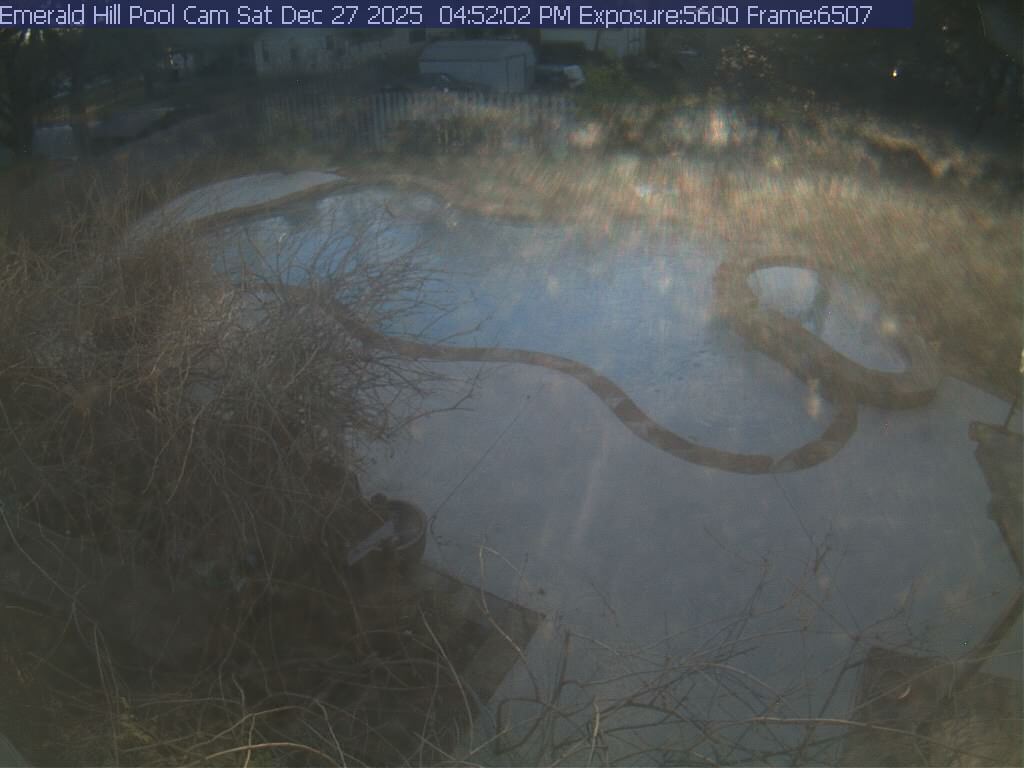 netcam_pool-27