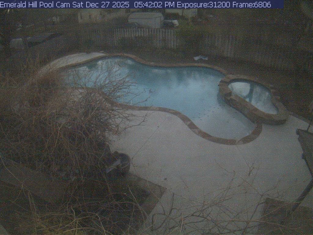 netcam_pool-3