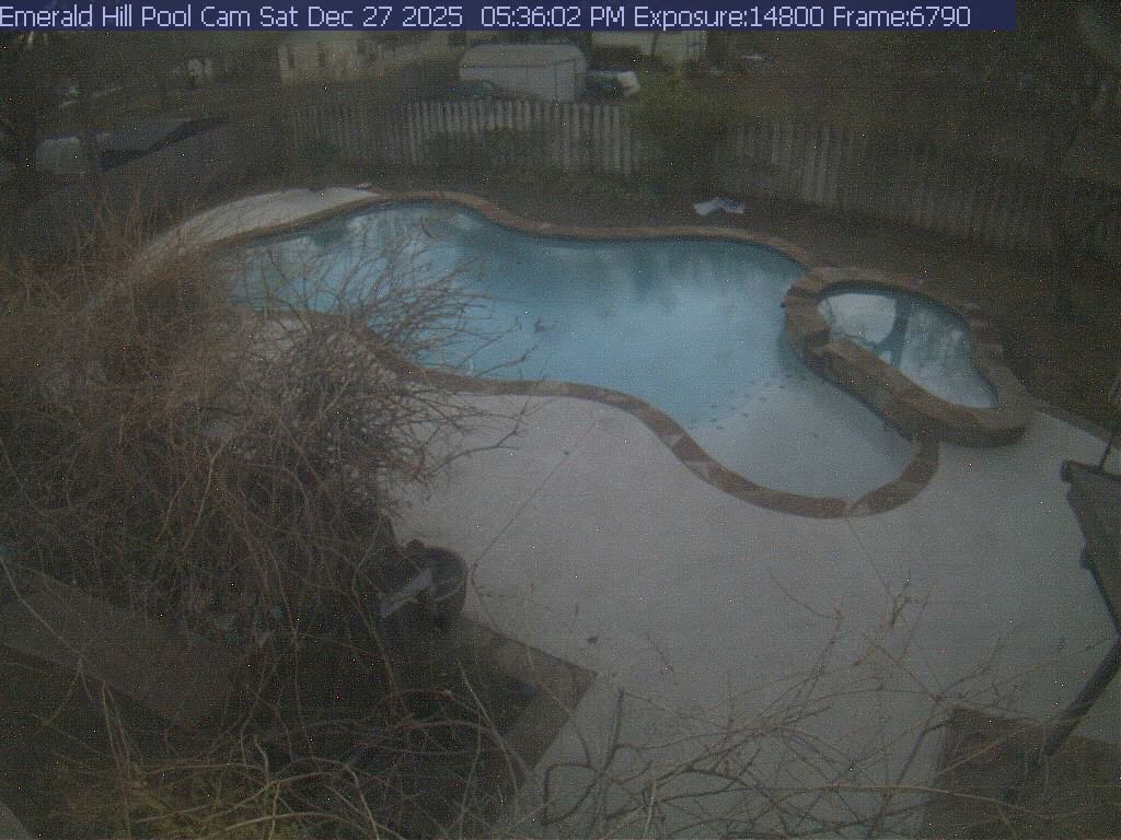 netcam_pool-5