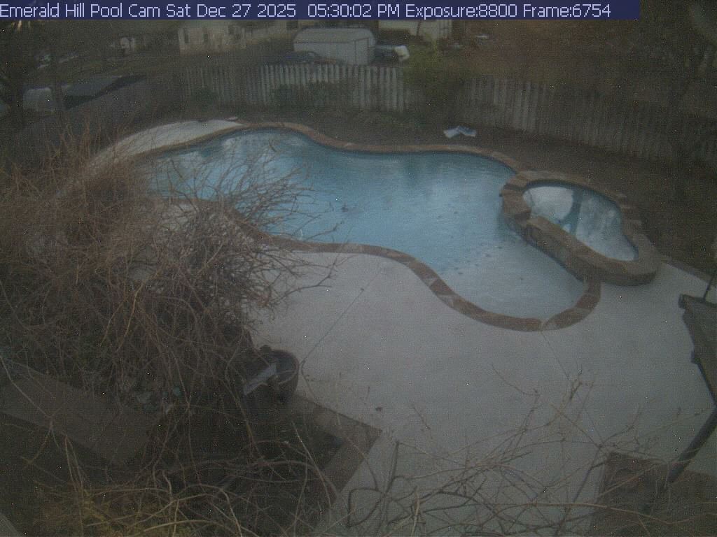 netcam_pool-8